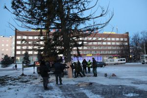 Новогодняя ель приехала в Великие Луки