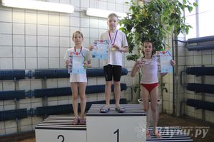 В Великих Луках прошли соревнования по плаванию «Весёлый дельфин» 