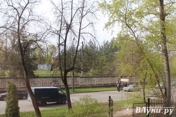 В Великих Луках произошло ДТП (ФОТО)