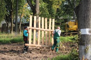 В великолукском парке приступили к планировке территории (ФОТО)