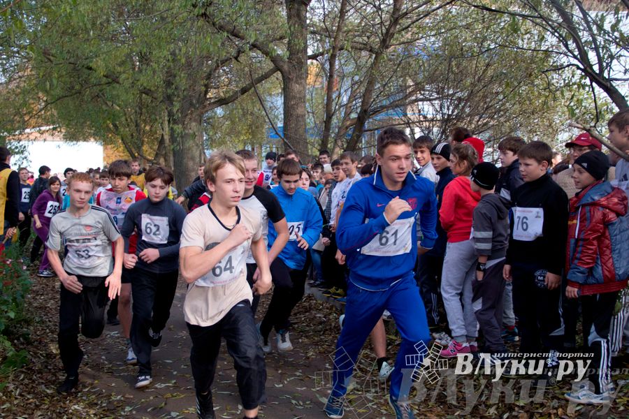 В Великих Луках прошел «Осенний кросс» 