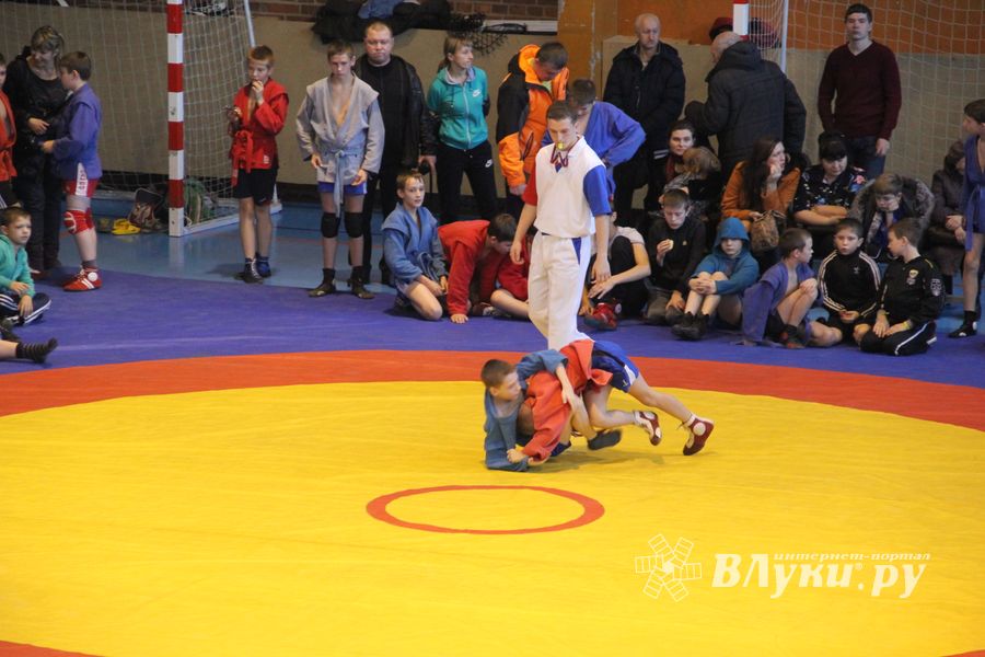 В Великих Луках прошел турнир по самбо "Память" (фото)
