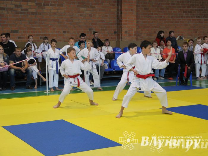 Великолучане стали победителями турнира по каратэ «Неприкосновенный запас, дети — Отчизны 2015» (фото)