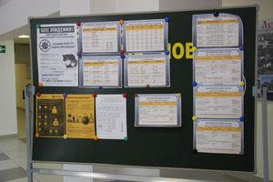 Великолукские школы готовы к атаке COVID-19