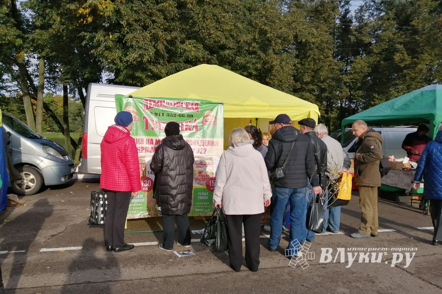 Фото: ВЛуки.ру