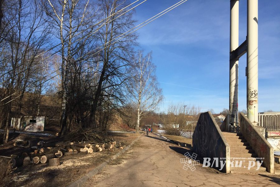 В УЖКХ Великих Лук объяснили спил деревьев возле пешеходного моста (ФОТО)