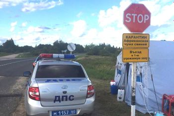 В зоне вспышки АЧС проводятся карантинные мероприятия (ФОТО)