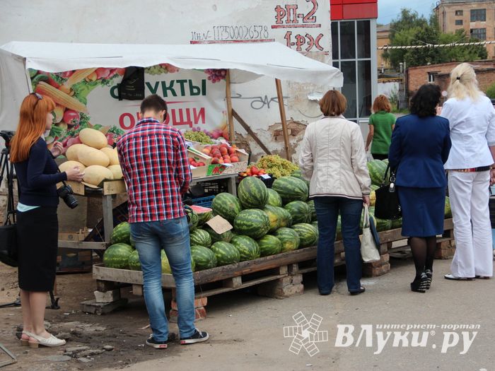 В Великих Луках проверили бахчевые (ФОТО)
