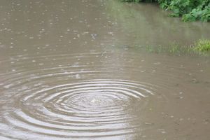Выявлен самый затопленный двор в Великих Луках (ФОТО)