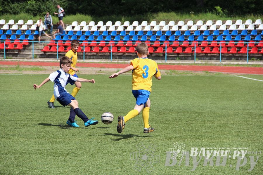 «Локобол-2013» в Великих Луках