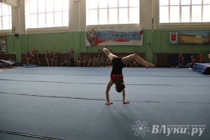 В Великих Луках состоялось Первенство по командной гимнастике (фото)