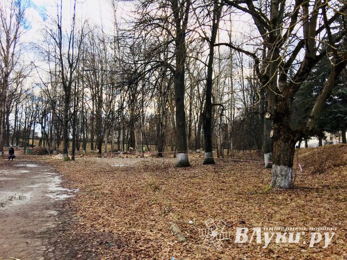 Парк культуры и отдыха готовится к реконструкции (ФОТО)