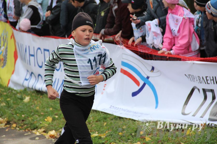 Кросс нации