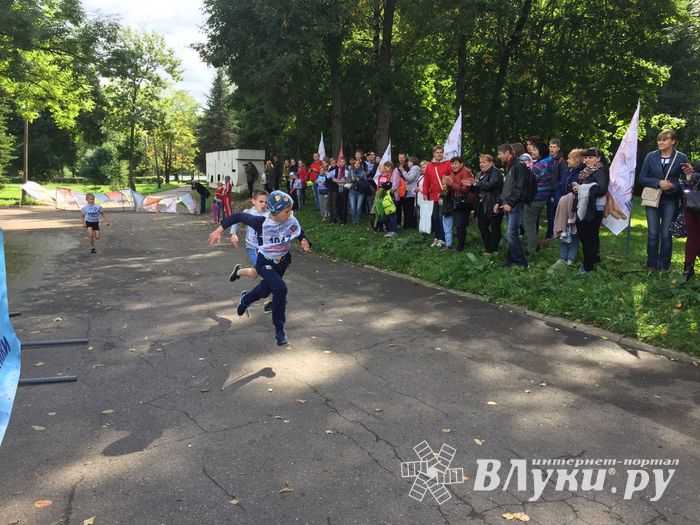 В Великих Луках стартовал Всероссийский день бега «Кросс нации-2017» (ФОТО)