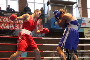 16-й Международный турнир по боксу (фото)