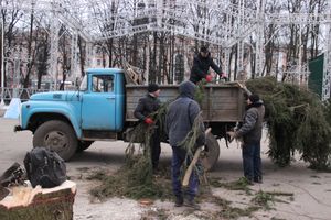 Необычное украшение сняли с главной ёлки Великих Лук (ФОТО)