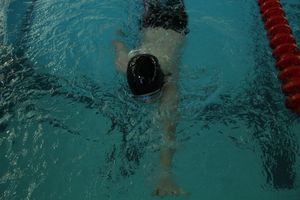 В Великих Луках прошел Чемпионат и Кубок города по плаванию (фото)