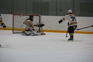 Великолукские хоккеисты одержали победу на домашнем льду (ФОТО)