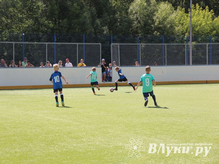 В Великих Луках прошёл Олимпийский День (ФОТО)