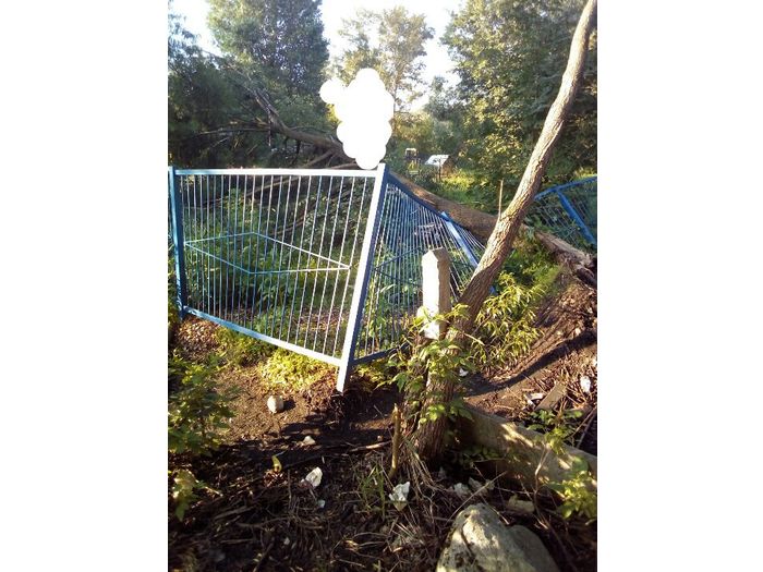 В Великих Луках дерево упало на забор садика (ФОТО)