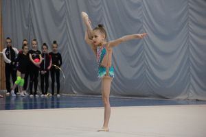 ​В Великих Луках прошли соревнования по художественной гимнастике (ФОТО)