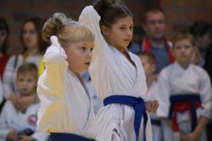 В Великих Луках прошли соревнования по каратэ (ФОТО)