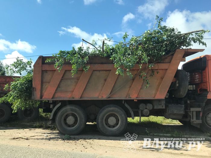 Дачников Великих лук порадовали районные дорожник (ФОТО)