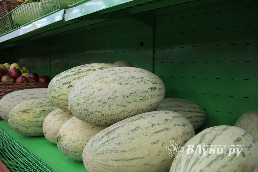 В Великих Луках проверили бахчевые (ФОТО)