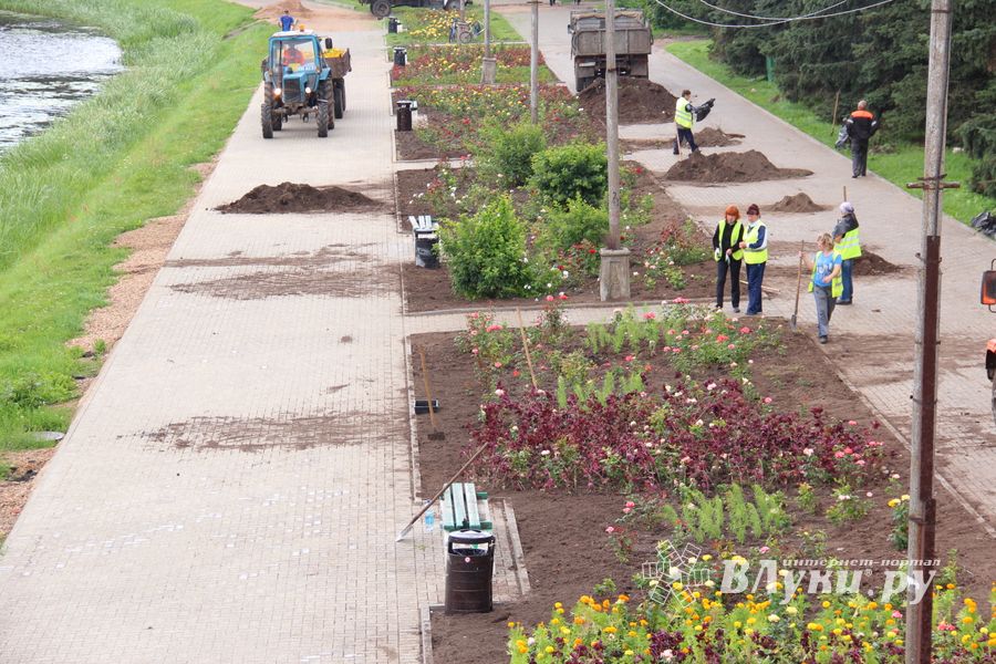 В Великих Луках сажают, стригут и красят (ФОТО)