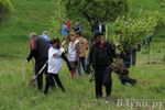 В Великих Луках посадили берёзы в рамках Всероссийской акции (ФОТО)