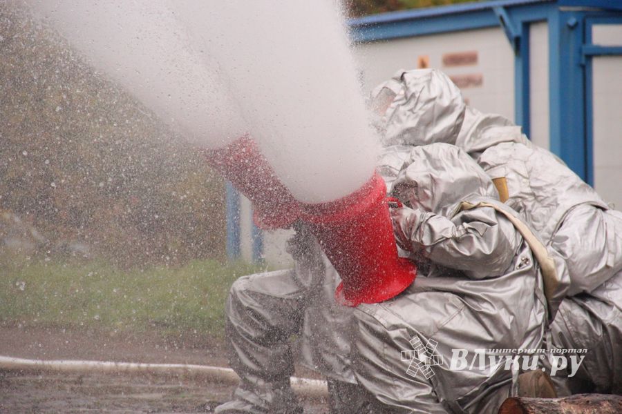 В Великих Луках тушили поезд (ФОТО)