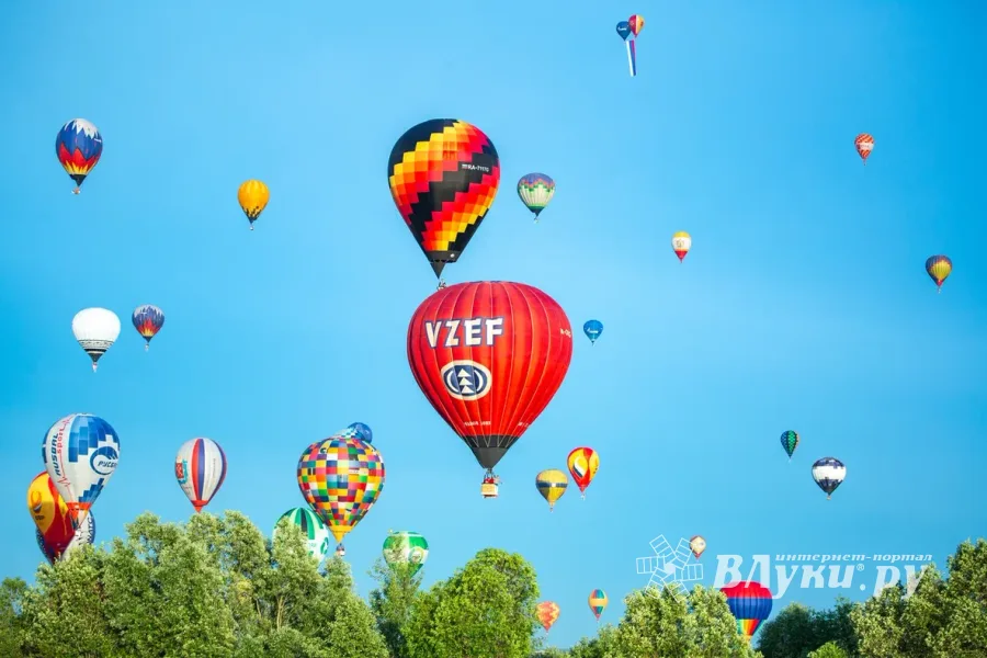 Фото: Александр Воробьев