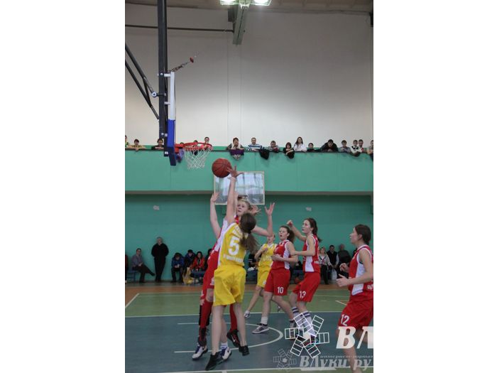 Чемпионат ШБЛ «КЭС-БАСКЕТ» сезона 2013-2014 гг. Псковской области