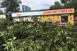 Гроза в Великих Луках не прошла бесследно (ФОТО)