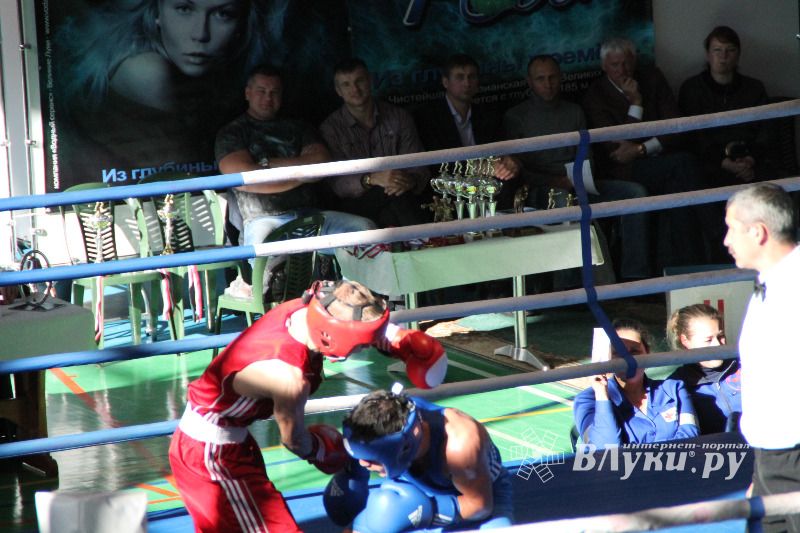 XV Международный турнир по боксу памяти Заслуженного работника физической культуры России Евгения Афанасьевича Клевцова