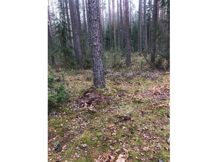 Великолукская семья навела порядок в Сенчитах (ФОТО)