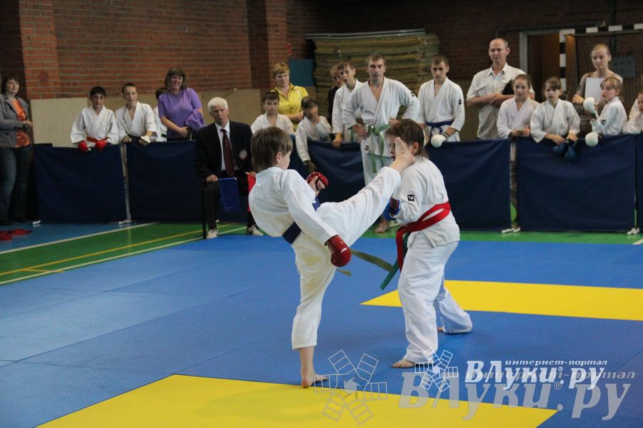 Турнир по каратэ «Неприкосновенный запас — дети Отчизны»
