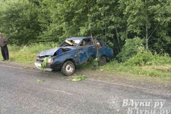 В Куньинском районе водитель улетел в кювет и погиб
