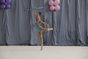 ​В Великих Луках проходит Открытое Первенство по художественной гимнастике (ФОТО) (0+)