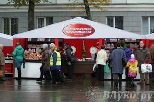 ​Универсальная торговая ярмарка «Осень – 2014» состоялась  в Великих Луках