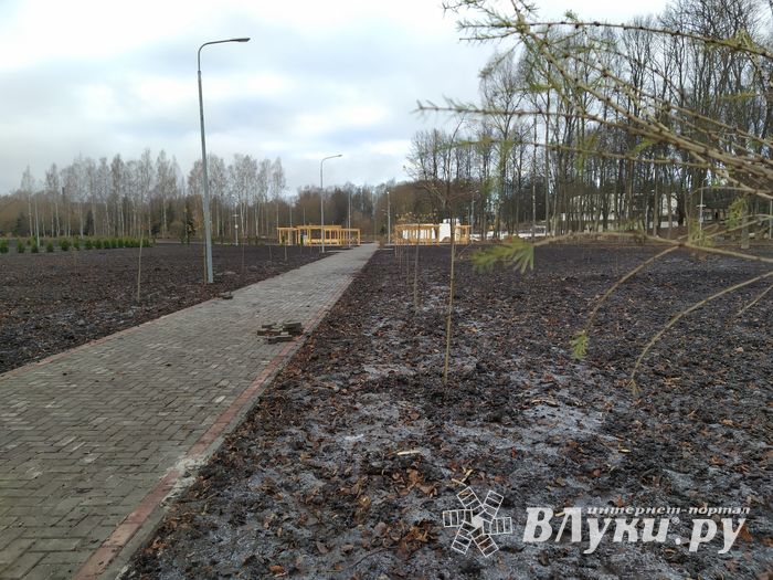 Николай Козловский рассказал о строительстве парка «Петровский»