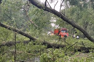 Весь ужас вчерашнего урагана в Великих Луках и районе (ФОТО, ВИДЕО)