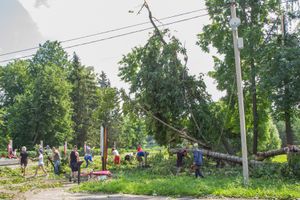 Небезразличные великолучане помогают убрать город после урагана (ФОТО)