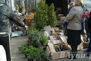 Весенняя ярмарка 2013 прошла в Великих Луках