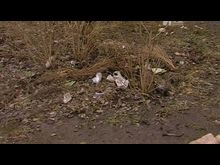 Импульс-ТВ: Весенний город. Чистый город?