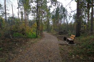 В Великих Луках создали «Парк под открытым небом» (ФОТО)