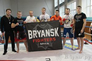 Открытый Кубок города Великие Луки по смешанному боевому единоборству (ММА)