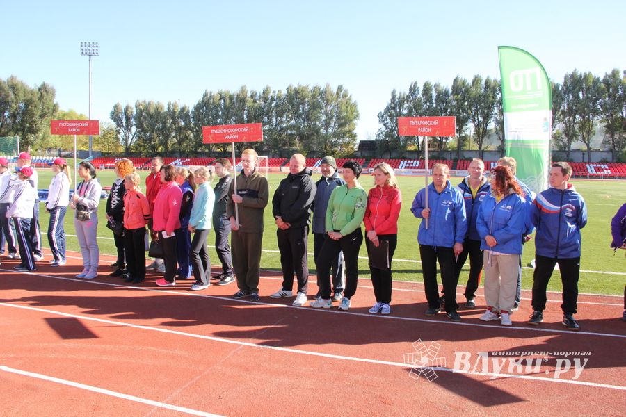 В Великих Луках прошел фестиваль ГТО