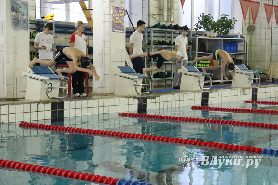 В Великих Луках прошло Первенство города по плаванию (фото)