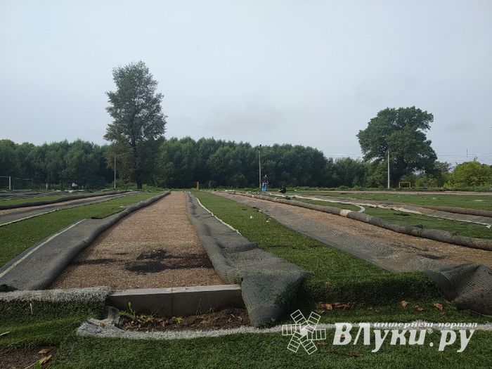 Дятлинка готовит футболистам подарок (ФОТО)